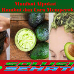 Manfaat Alpukat untuk Rambut dan Cara Memperolehnya