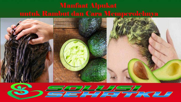 Manfaat Alpukat untuk Rambut dan Cara Memperolehnya