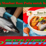 Segudang Manfaat Ikan Patin untuk Kesehatan