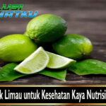 Manfaat Jeruk Limau untuk Kesehatan Kaya Nutrisi dan Penuh