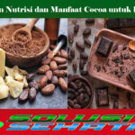 Kandungan Nutrisi dan Manfaat Cocoa untuk Kesehatan