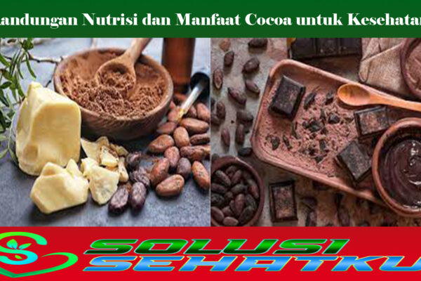 Kandungan Nutrisi dan Manfaat Cocoa untuk Kesehatan