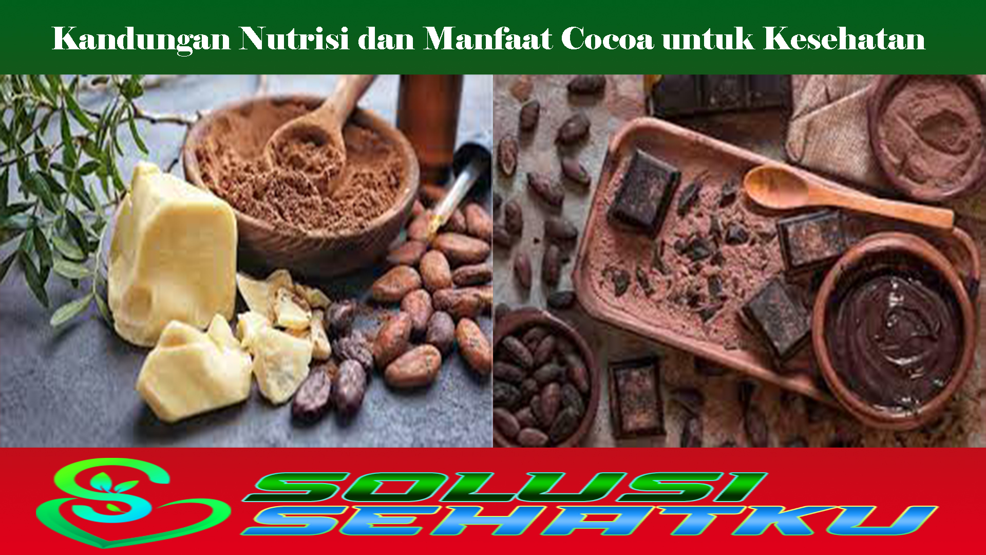 Kandungan Nutrisi dan Manfaat Cocoa untuk Kesehatan