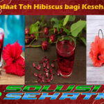 7 Manfaat Teh Hibiscus bagi Kesehatan