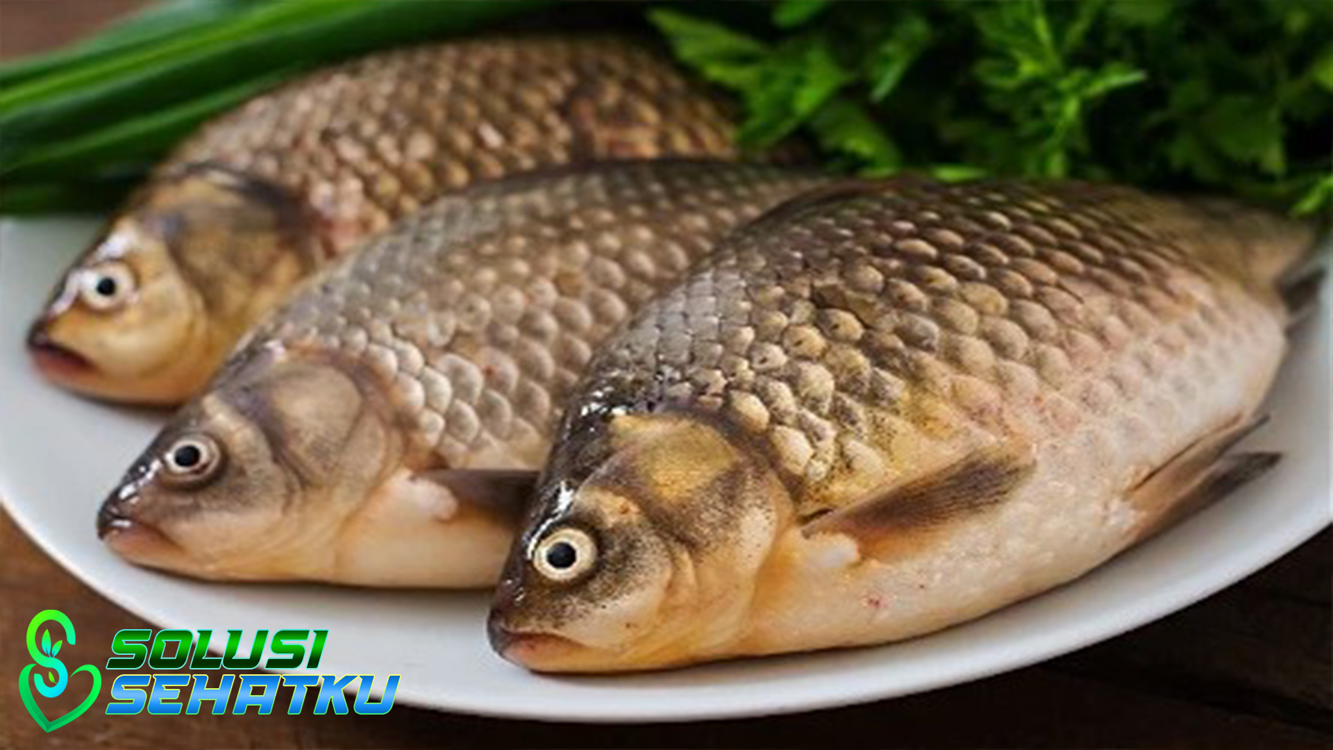 Manfaat Ikan Gurame dan Kandungan Nutrisinya