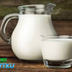 Terkait Fakta Seputar Susu Pasteurisasi dan Proses Pembuatannya